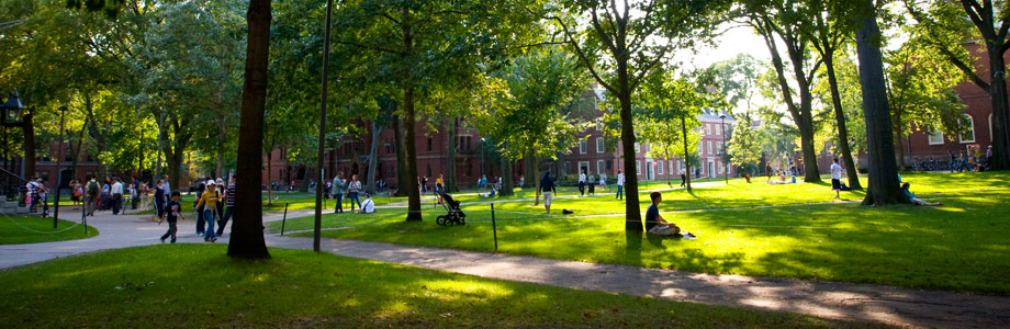 harvard-clubs-sigs-officers-lounge